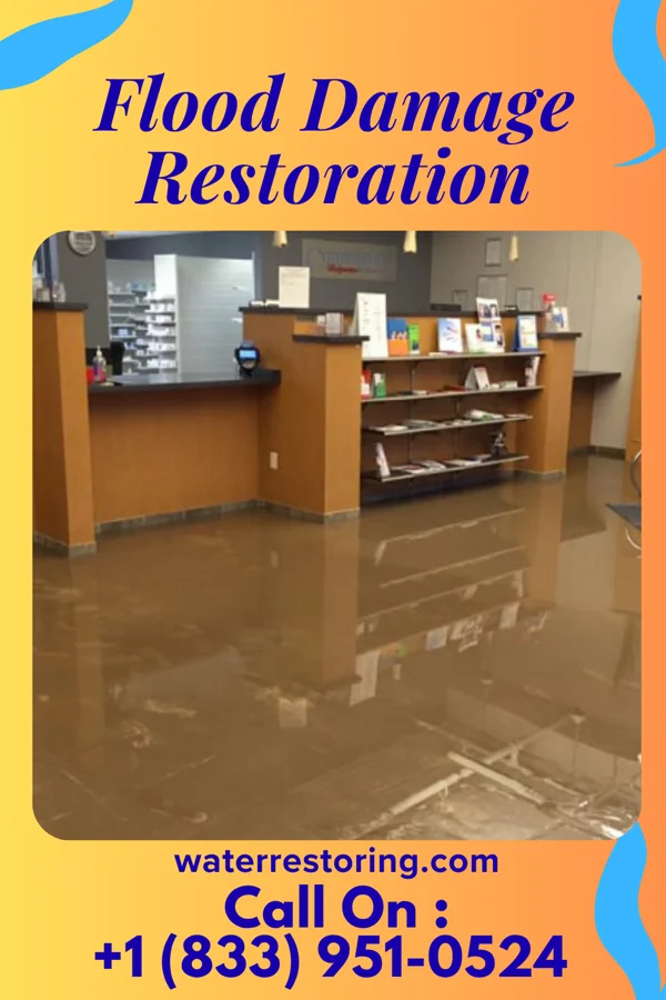 Flood Damage Restoration in Athalia, OH