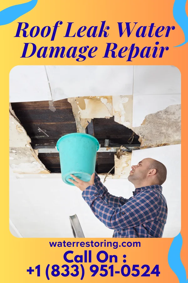 Roof Leak Water Damage Repair in Athalia, OH