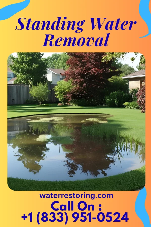 Standing Water Removal in Athalia, OH